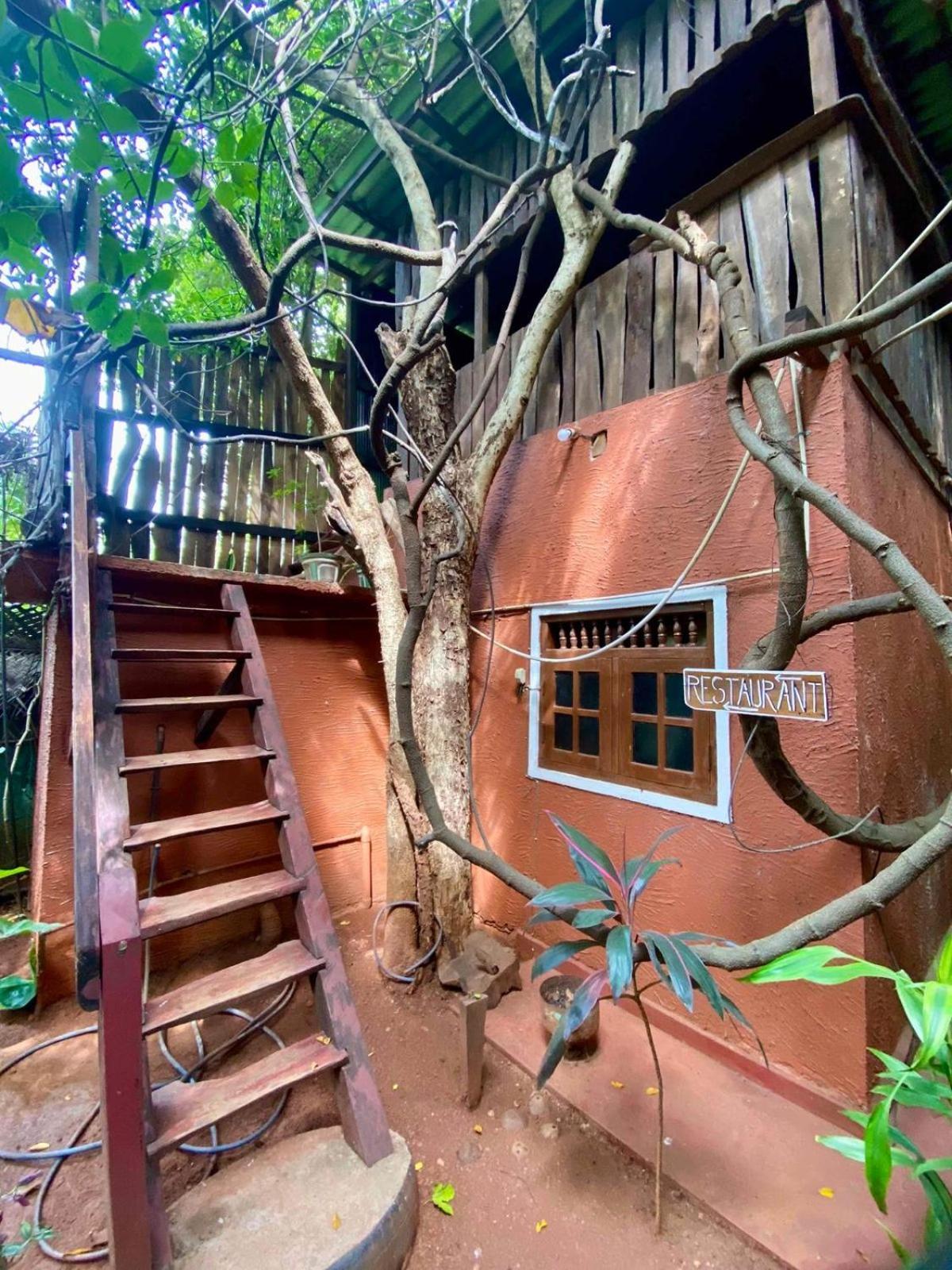 Hotel Hideaway Garage Dambulla Eksteriør billede